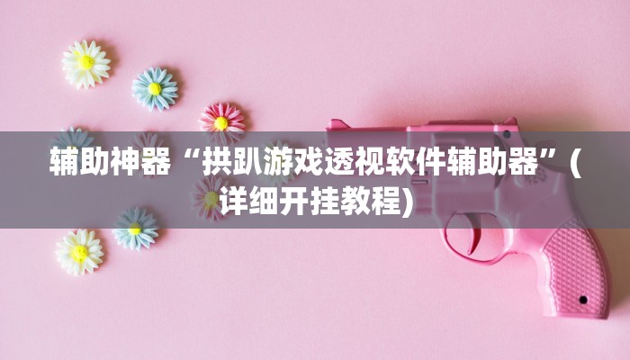 辅助神器“拱趴游戏透视软件辅助器”(详细开挂教程)