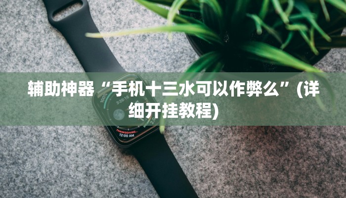 辅助神器“手机十三水可以作弊么”(详细开挂教程)