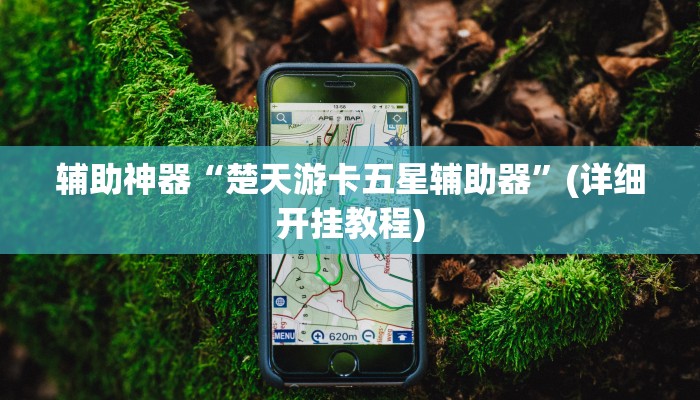 辅助神器“楚天游卡五星辅助器”(详细开挂教程)