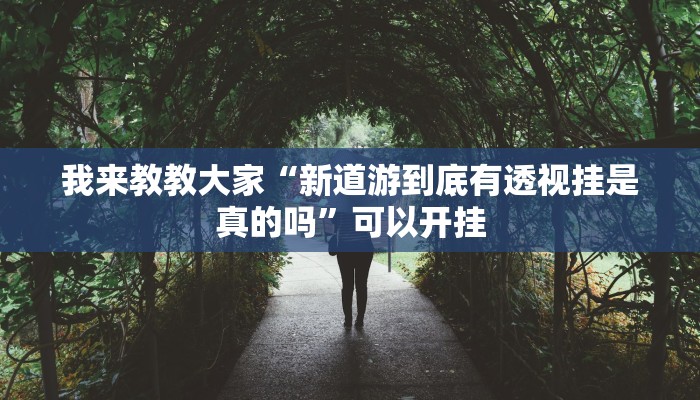 我来教教大家“新道游到底有透视挂是真的吗”可以开挂 我来教教大家“新道游到底有透视挂是真的吗”可以开挂