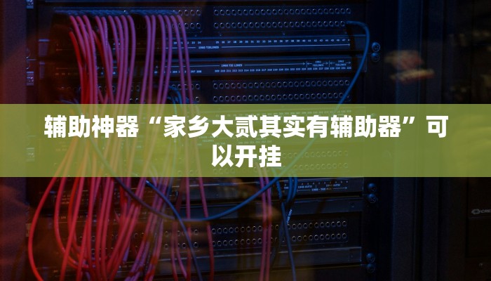 辅助神器“家乡大贰其实有辅助器”可以开挂