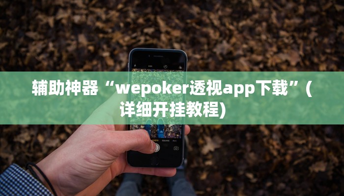 辅助神器“wepoker透视app下载”(详细开挂教程)