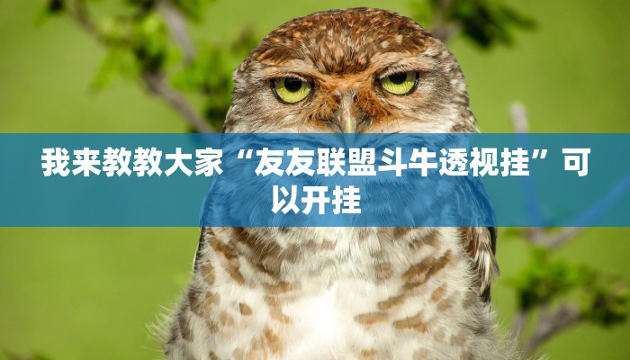 我来教教大家“友友联盟斗牛透视挂”可以开挂