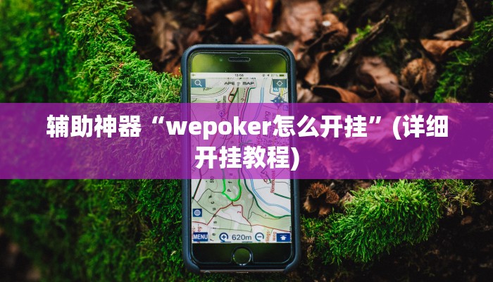 辅助神器“wepoker怎么开挂”(详细开挂教程) 辅助神器“wepoker怎么开挂”(详细开挂教程)