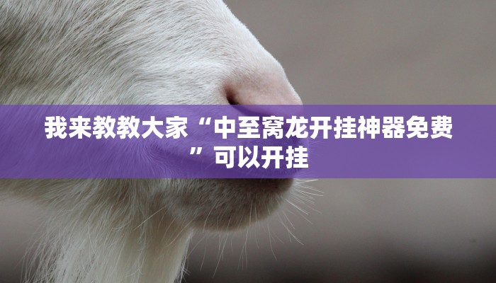 辅助神器“微乐家乡麻将万能开挂器”可以开挂