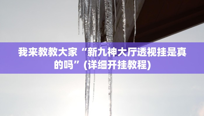 我来教教大家“新九神大厅透视挂是真的吗”(详细开挂教程)