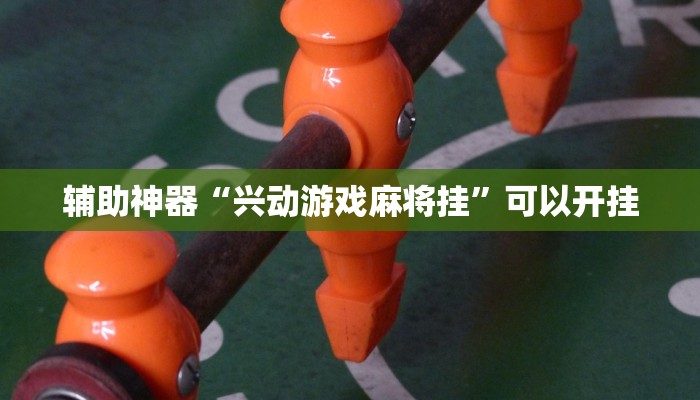 辅助神器“兴动游戏麻将挂”可以开挂