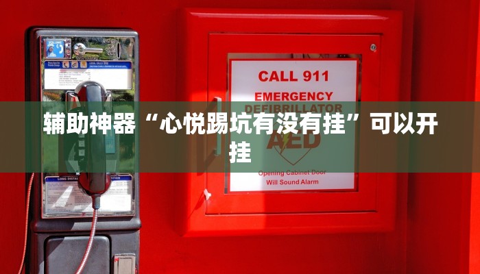 辅助神器“心悦踢坑有没有挂”可以开挂