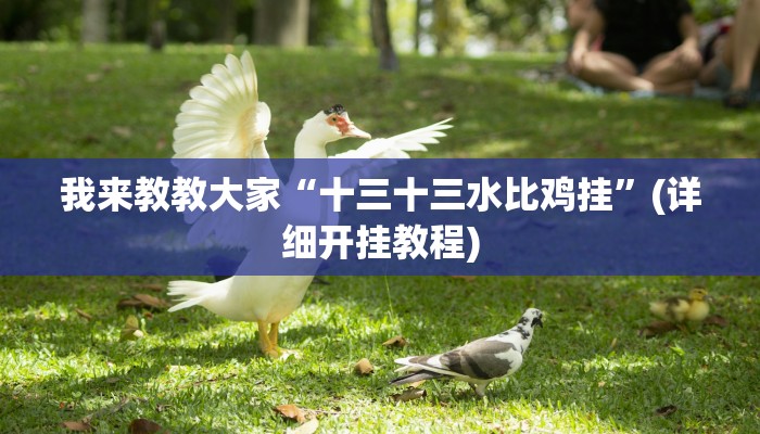 我来教教大家“十三十三水比鸡挂”(详细开挂教程)