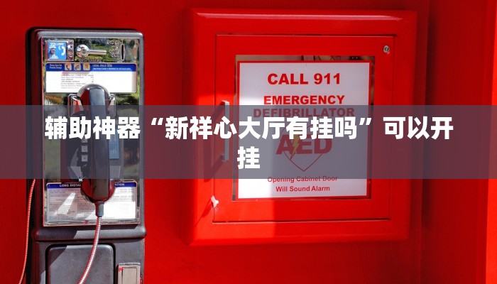 辅助神器“新祥心大厅有挂吗”可以开挂