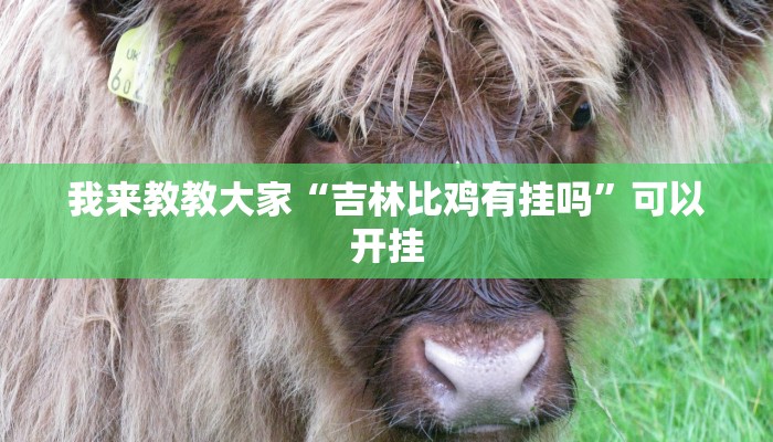 我来教教大家“吉林比鸡有挂吗”可以开挂