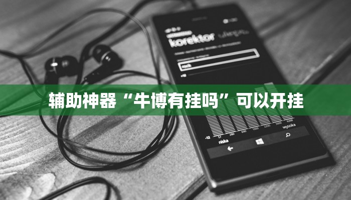 辅助神器“牛博有挂吗”可以开挂