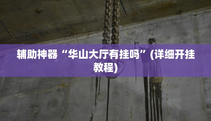 辅助神器“华山大厅有挂吗”(详细开挂教程)