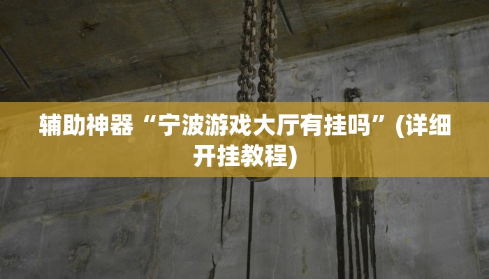 辅助神器“宁波游戏大厅有挂吗”(详细开挂教程)