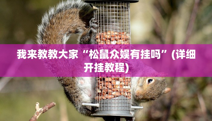 我来教教大家“松鼠众娱有挂吗”(详细开挂教程)