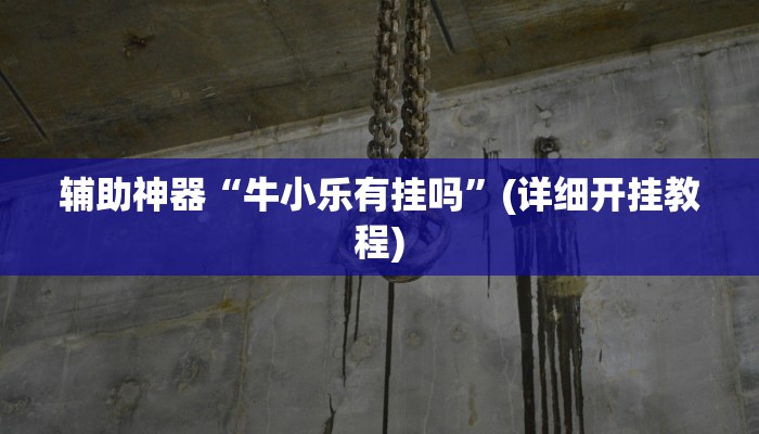 辅助神器“牛小乐有挂吗”(详细开挂教程)