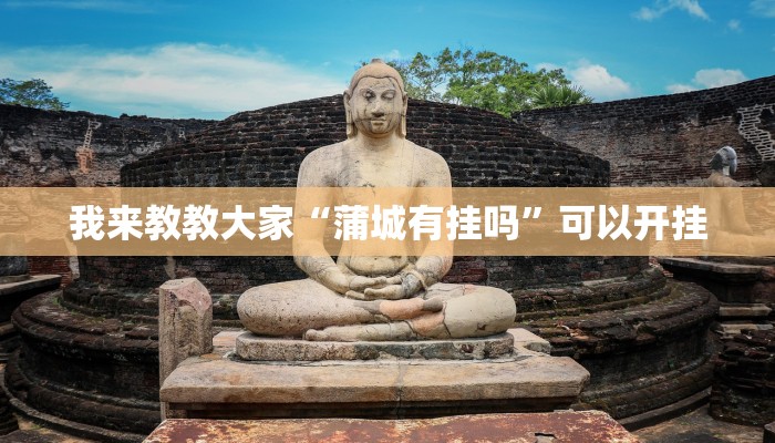 我来教教大家“蒲城有挂吗”可以开挂