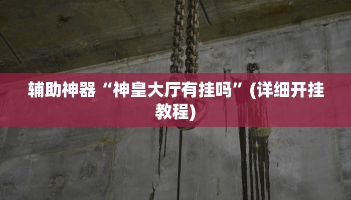 辅助神器“神皇大厅有挂吗”(详细开挂教程)