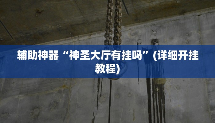辅助神器“神圣大厅有挂吗”(详细开挂教程)