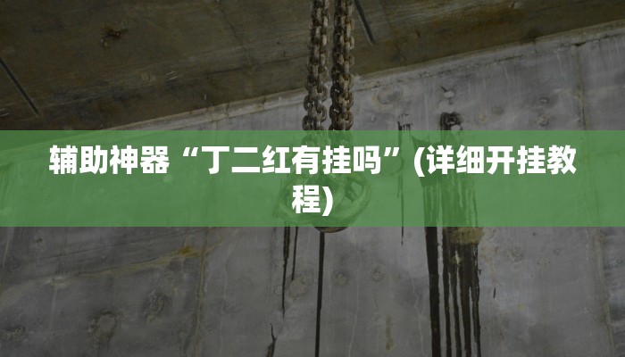 辅助神器“丁二红有挂吗”(详细开挂教程)