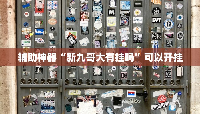 辅助神器“新九哥大有挂吗”可以开挂