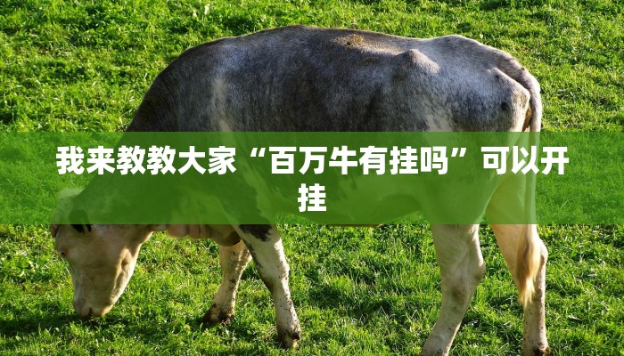 我来教教大家“百万牛有挂吗”可以开挂