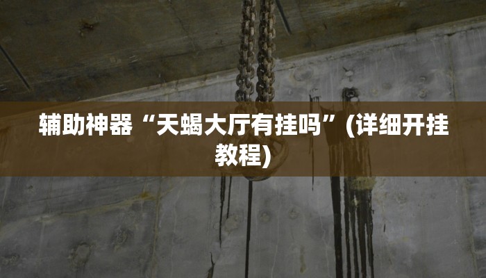 辅助神器“天蝎大厅有挂吗”(详细开挂教程)