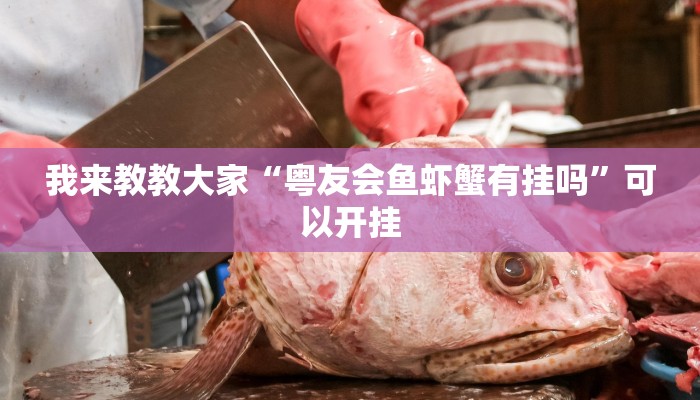 我来教教大家“粤友会鱼虾蟹有挂吗”可以开挂