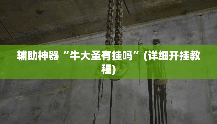 辅助神器“牛大圣有挂吗”(详细开挂教程)