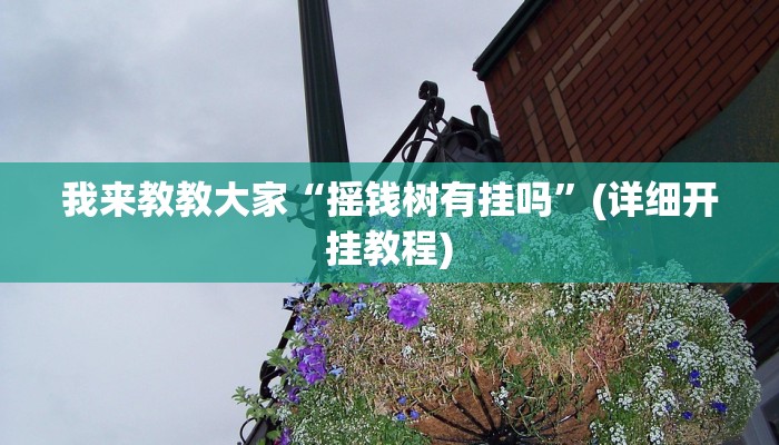 我来教教大家“摇钱树有挂吗”(详细开挂教程)