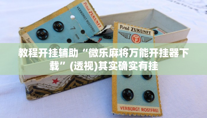 教程开挂辅助“微乐麻将万能开挂器下载”(透视)其实确实有挂 教程开挂辅助“微乐麻将万能开挂器下载”(透视)其实确实有挂