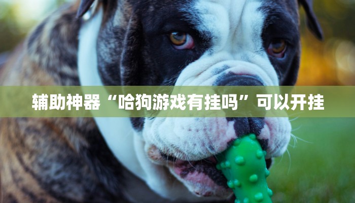 辅助神器“哈狗游戏有挂吗”可以开挂 辅助神器“哈狗游戏有挂吗”可以开挂