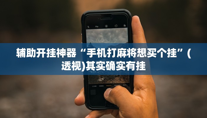 辅助开挂神器“手机打麻将想买个挂”(透视)其实确实有挂 辅助开挂神器“手机打麻将想买个挂”(透视)其实确实有挂