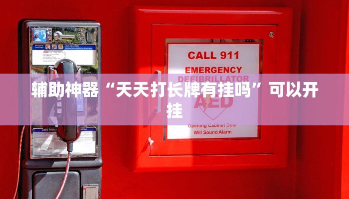 辅助神器“天天打长牌有挂吗”可以开挂 辅助神器“天天打长牌有挂吗”可以开挂