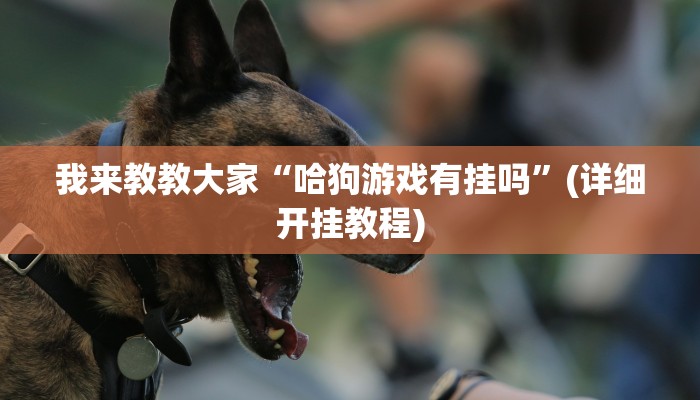 我来教教大家“哈狗游戏有挂吗”(详细开挂教程)