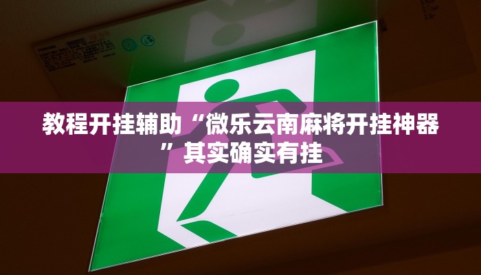 教程开挂辅助“微乐云南麻将开挂神器”其实确实有挂