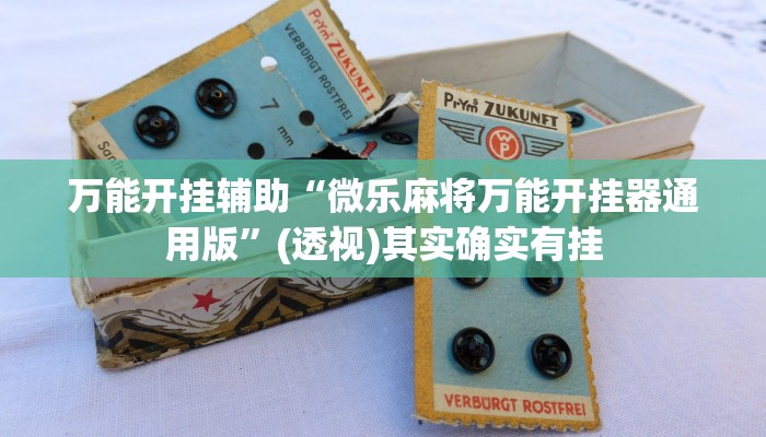 万能开挂辅助“微乐麻将万能开挂器通用版”(透视)其实确实有挂