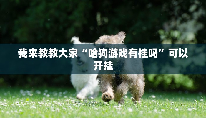 辅助开挂神器“旺旺闽南麻将可以开挂吗”其实确实有挂