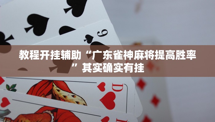 教程开挂辅助“广东雀神麻将提高胜率”其实确实有挂 教程开挂辅助“广东雀神麻将提高胜率”其实确实有挂