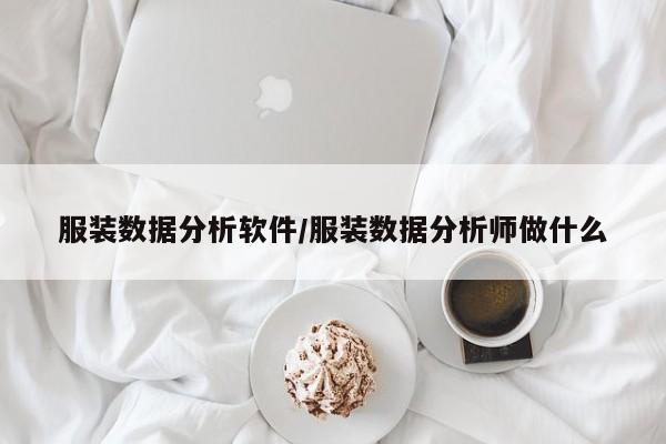 服装数据分析软件/服装数据分析师做什么